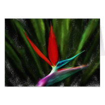 hi greeting cards