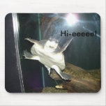 Hi-eeeee! mousepads