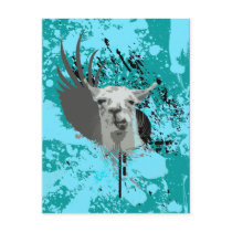 hi-fi llama. postcards