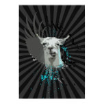 hi-fi llama.