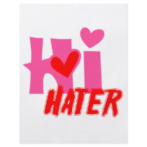 Hi Hater flyers by ColorShow Hi Hater flyers