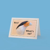 Hi/Hello Card, Crested Caracara Bird