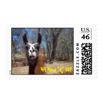 Hi! How "R" Ya? postage by espzazzle Hi! How "R" Ya? postage