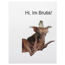 Hi im brutis letterhead by Leetpete Hi im brutis letterhead
