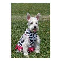 Hi, I'm Daisy posters by StarLily Hi, I'm Daisy posters