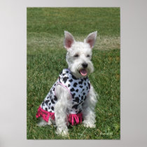 Hi, I'm Daisy Print