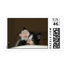 "Hi Kitten" Postage