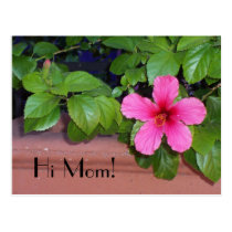 Hi Mom! Flower Postcard postcards