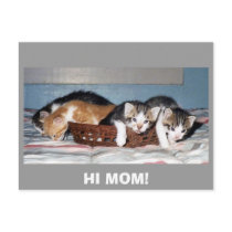 HI MOM! postcards by KABSANNIE HI MOM! postcards