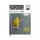 postcard - Thank you for viewing this finch stamp!  Visit www.zazzle.com/iiiyaaa* for more.
