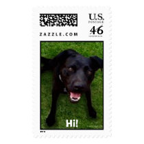 Hi! postage