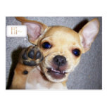 HI POSTCARD