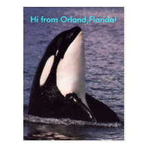 Hi Postcards