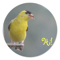 Hi! stickers