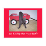 Hi Tailing over to say Hello Post Card