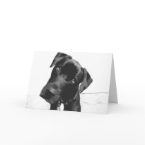 Hi there greeting cards