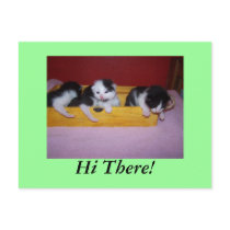 Hi There! postcards by KatAnnette Hi There! postcards