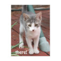Hi there! postcards