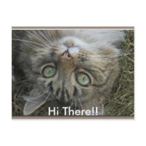 Hi There! postcards by lorale Hi There! postcards