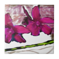hi ceramic tiles
