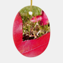 Hi. Wanna play? Christmas Ornament