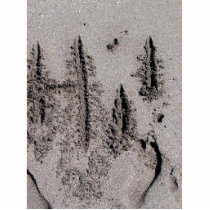 Hi! Written in Florida beach sand with footprints Photo Sculpture