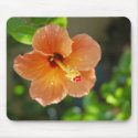Hibiscis Flower Mousepad by meganbreece Hibiscis Flower Mousepad