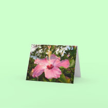 Hibiscus 1 cards