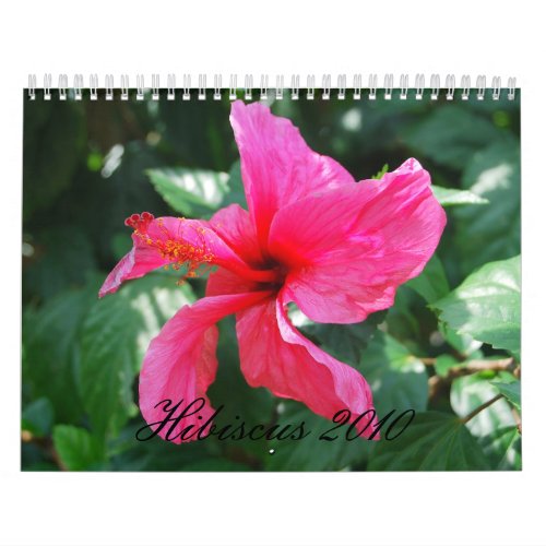 Hibiscus 2010 Calendar calendar