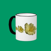 Hibiscus 29w ~ mug