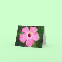 Hibiscus 2 cards