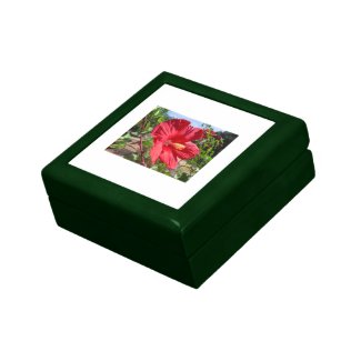 Hibiscus A Gift Box giftbox