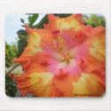 Hibiscus All Aglow Mousepad