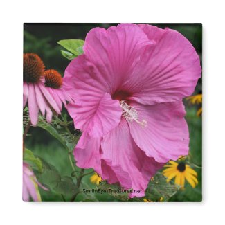 Hibiscus And Friends Flower Photo Magnet magnet