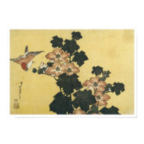 Hibiscus and Sparrow, Hokusai, 1833-34 posters