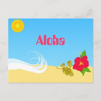 Hibiscus and Sun postcard