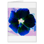 Hibiscus Azul cards