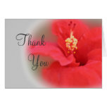 Hibiscus Bloom Thank You Card