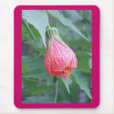 "Hibiscus Bud" Mousepad