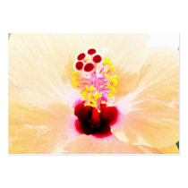 hibiscus business cards