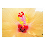 hibiscus business card templates