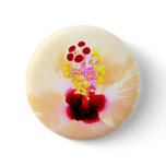 Hibiscus buttons