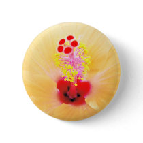 Hibiscus buttons