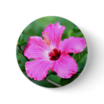 Hibiscus Button
