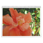 Hibiscus Calendar