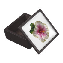 Hibiscus Candy Striper premium gift boxes