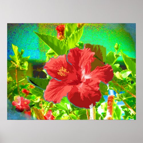 Hibiscus Canvas Print print