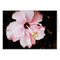 Hibiscus cards by dinatemraz Hibiscus cards