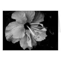 Hibiscus cards by dinatemraz Hibiscus cards