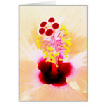 Hibiscus cards